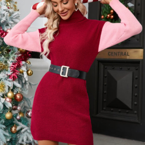 Robe Pull Moulante Col Roulé